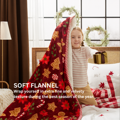 Snuggy Heated Plush Throw Blanket